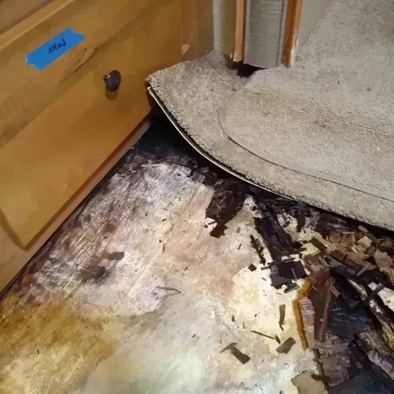 Wood Floor Water Damage in Arcadia, LA